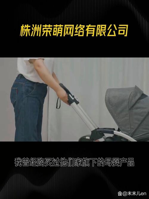 多元化经营 信息技术与日用百货的跨界融合